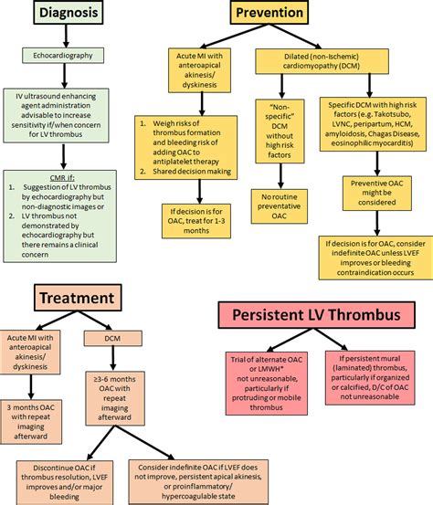 lv vak|Management of Patients at Risk for and With Left Ventricular .